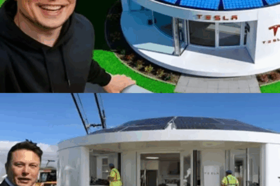 IT’S HERE! Elon Musk Confirms the 2026 Tesla Tiny House   Solar-Powered, AI-Driven, Under $8,000… and Hiding One Jaw-Dropping Secret Feature