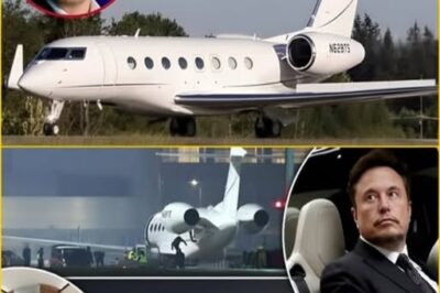 Elon Musk Reveals a Mind-Blowing SpaceX Supersonic Jet   The Craft That Will Redefine Human Travel Forever